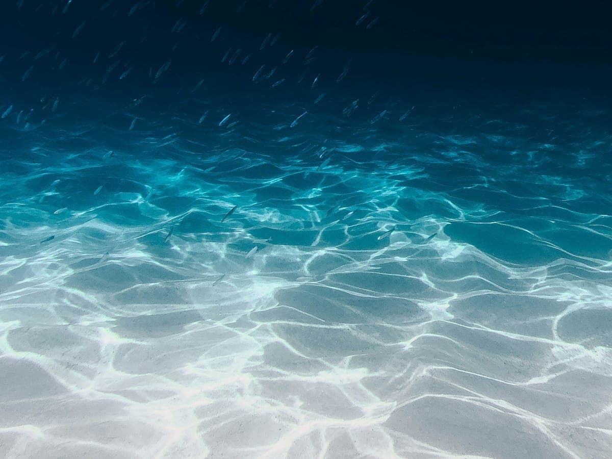 Swimmer seen from the cliff top — clear turquoise water over reef